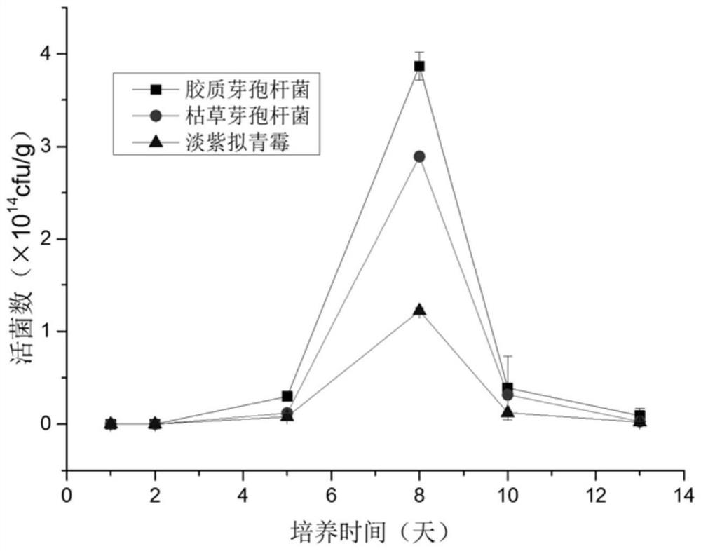 A kind of method that utilizes tobacco leaf residue to prepare biological bacterial fertilizer