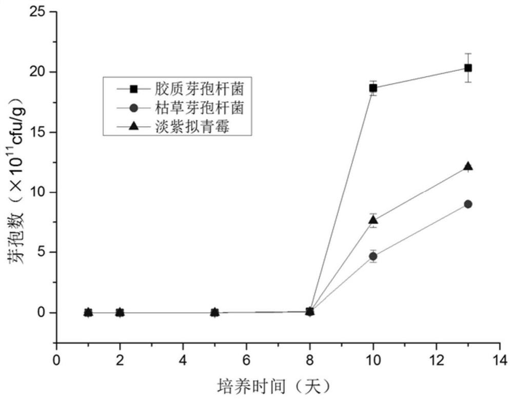 A kind of method that utilizes tobacco leaf residue to prepare biological bacterial fertilizer