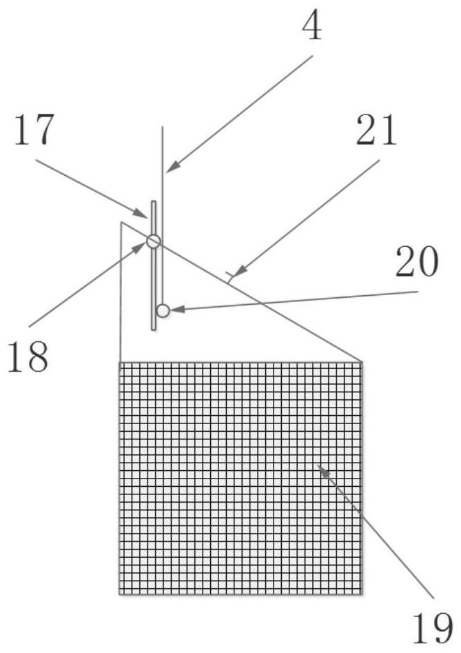 Grape grading device and method
