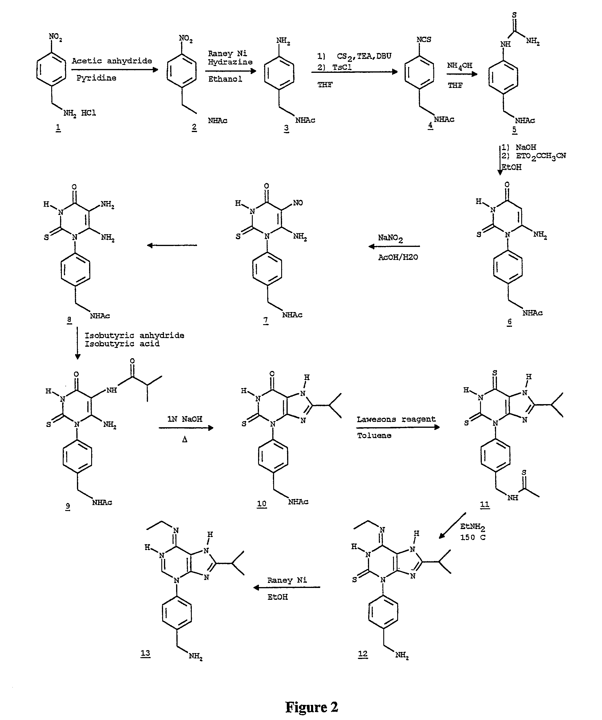 Method of defining genus of chemical compound and method of designing molecules