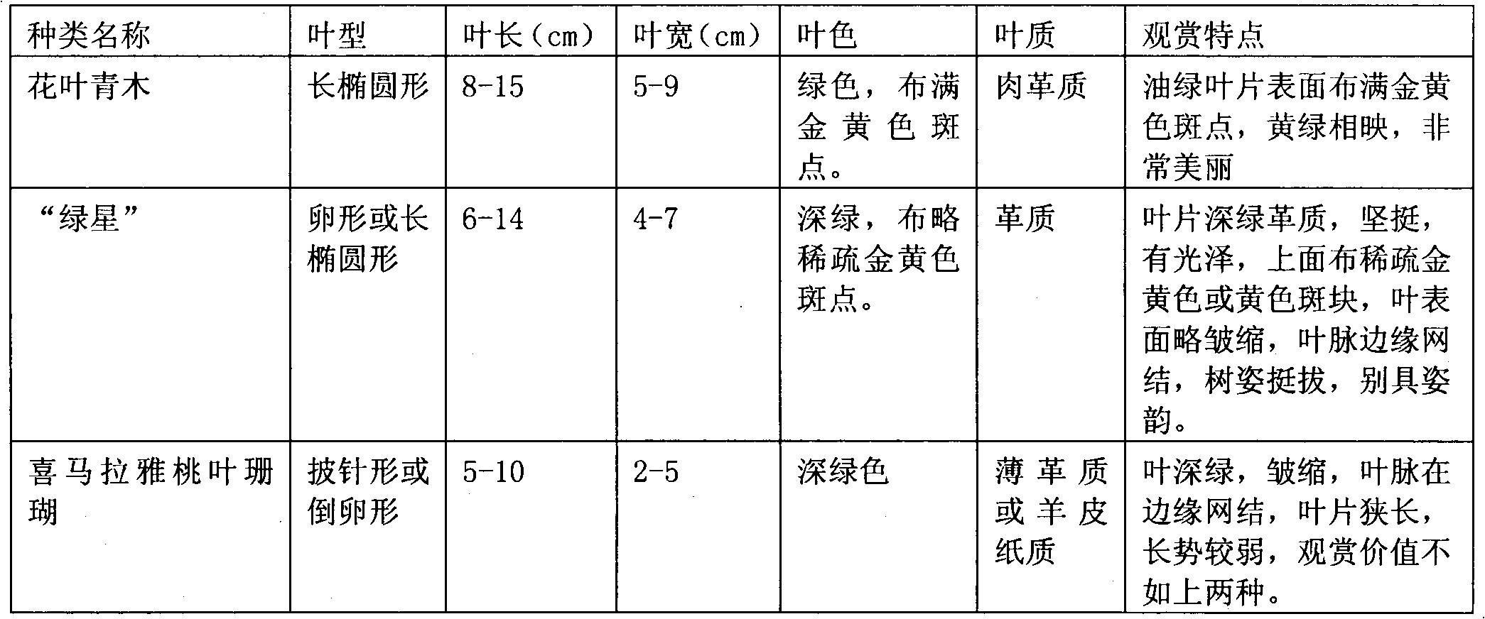 Crossbreeding method of novel Aucuba chinensis