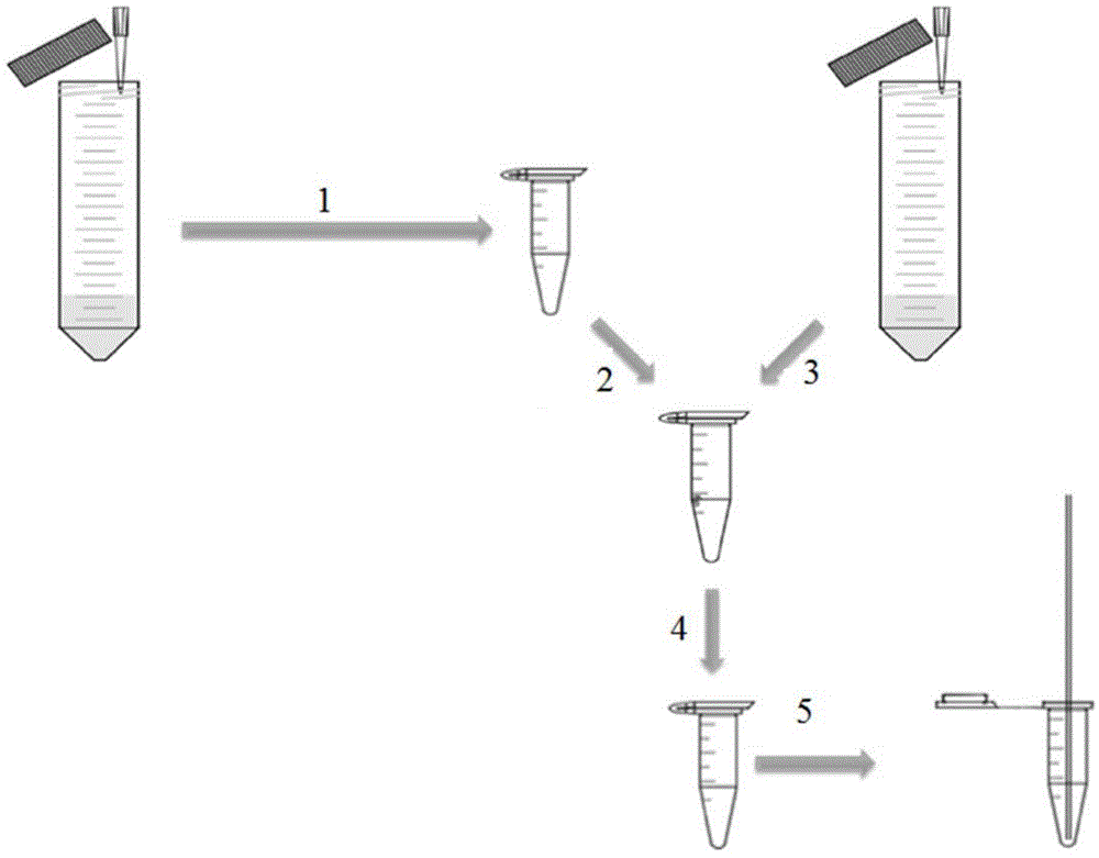 Method for detecting phthalic acid ester plasticizer in plastics