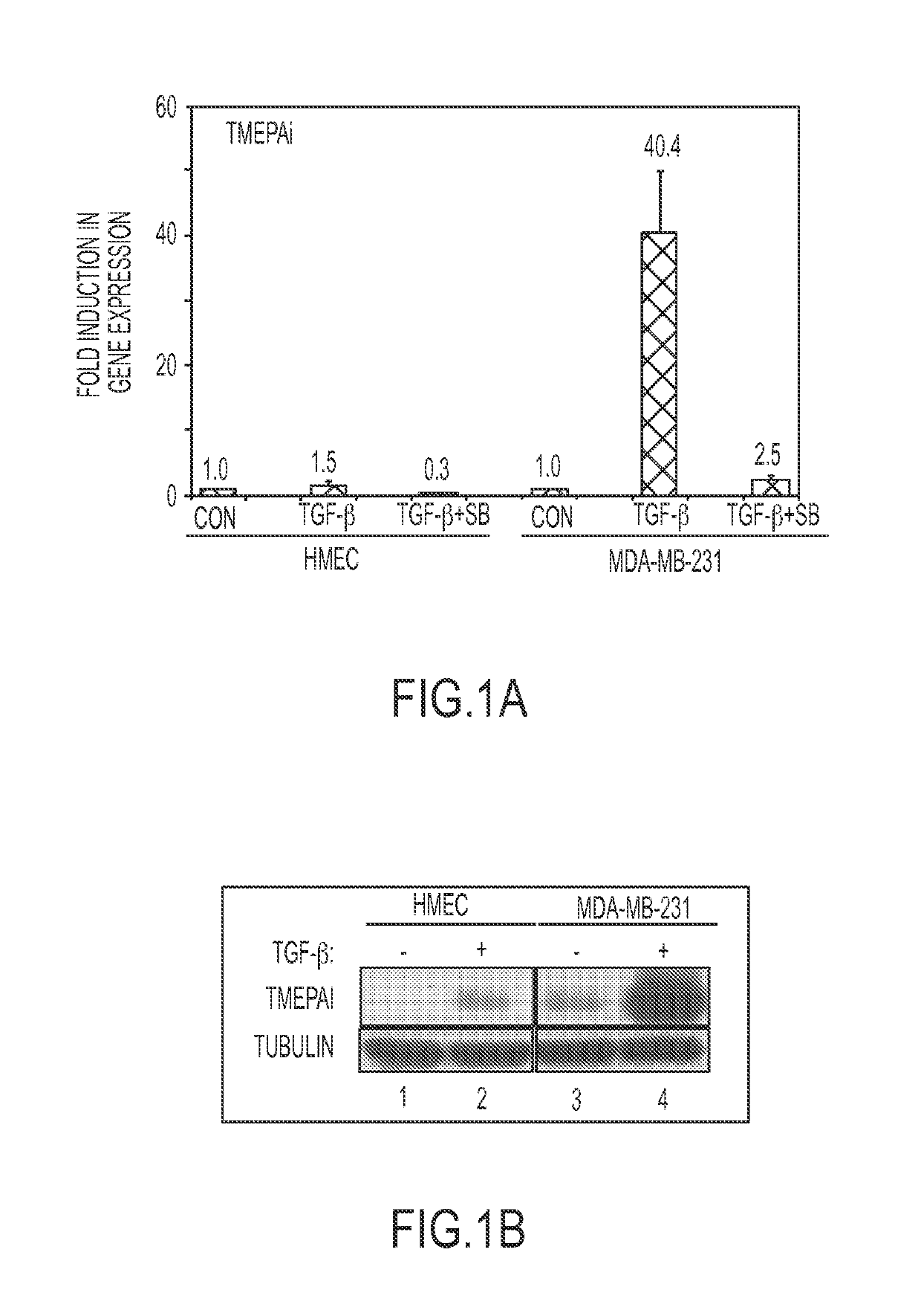Methods for classifying a cancer as susceptible to TMEPAI-directed therapies and treating such cancers