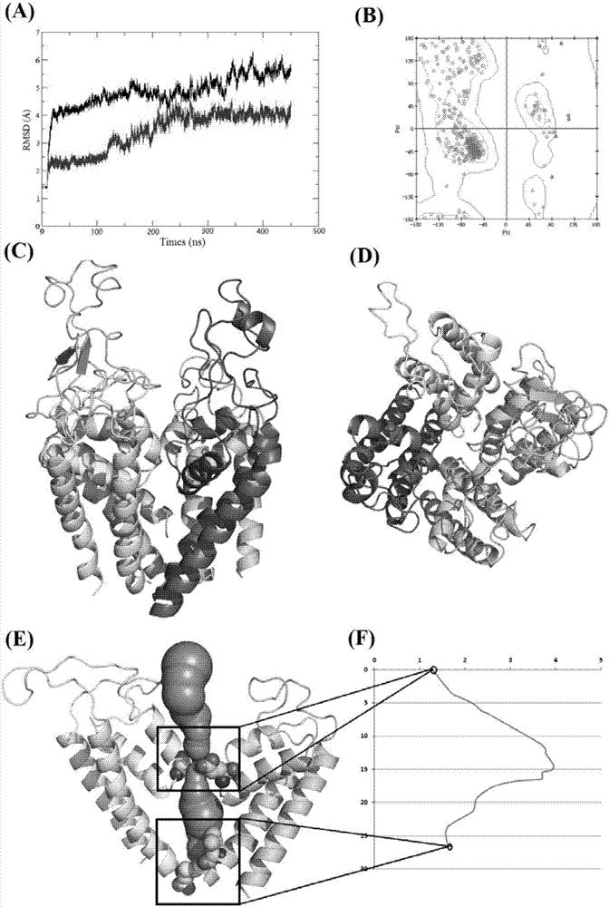 Voltage-gating sodium ion channel structure modeling method based on development coupling analysis