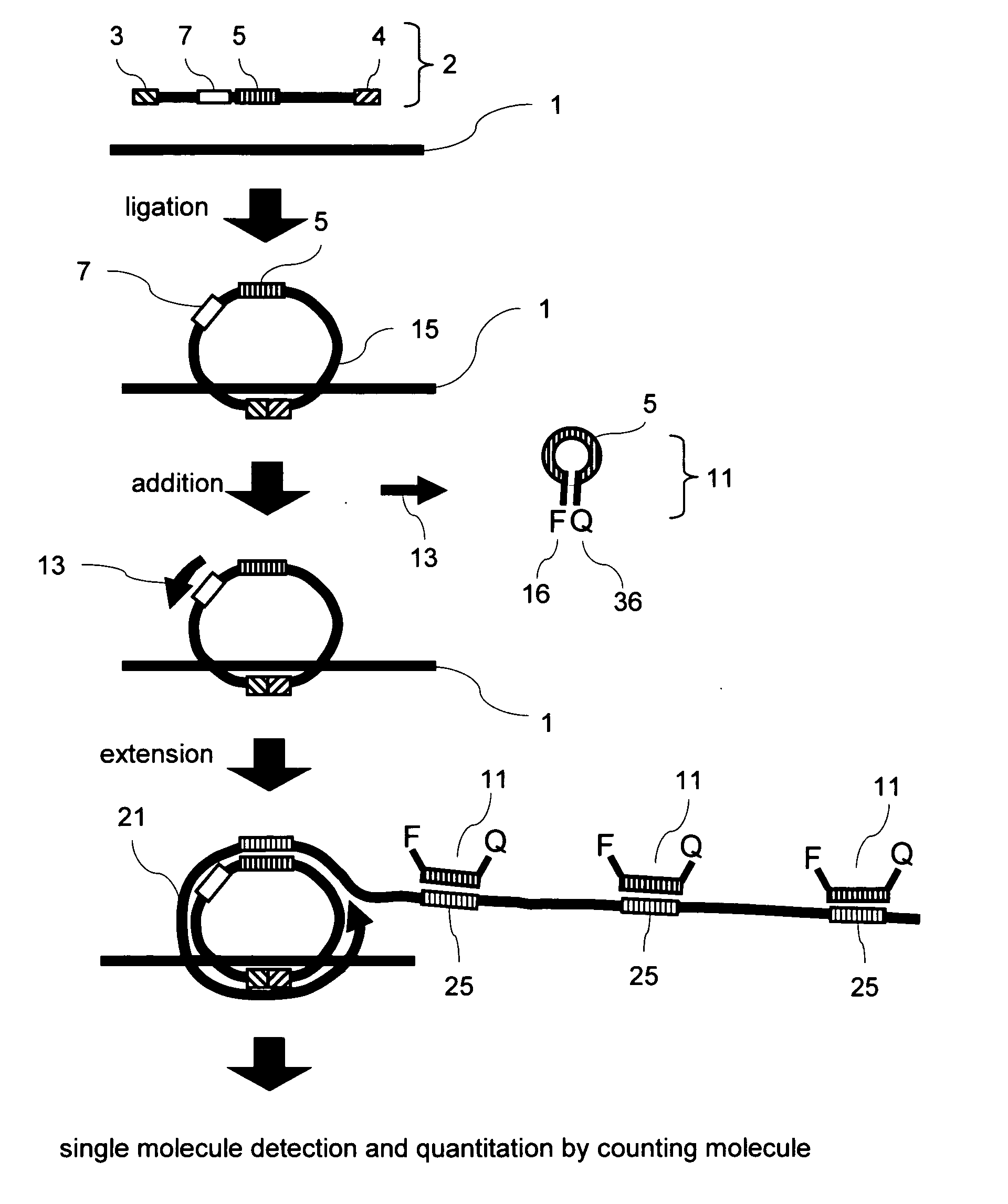 Methods of nucleic acid analysis by single molecule detection