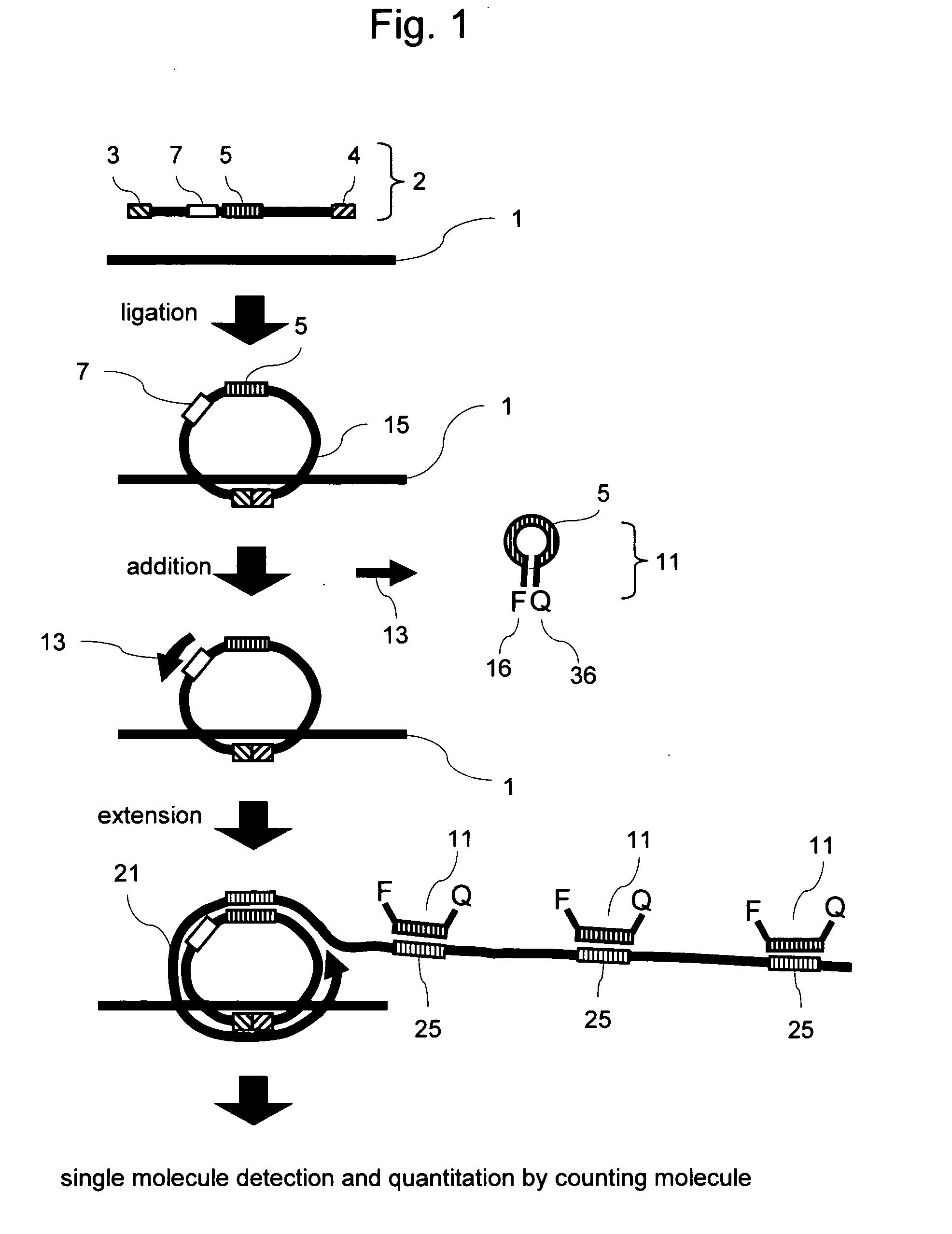 Methods of nucleic acid analysis by single molecule detection
