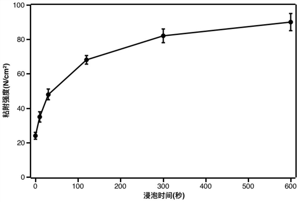Adhesion method for improving adhesion performance of carbon nanotube dry glue