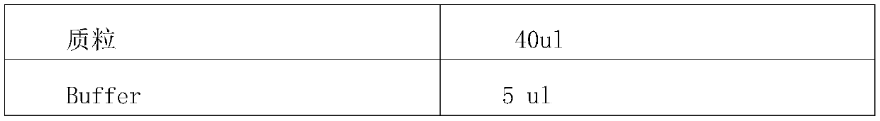 Preparation method of polyclonal antibody for specific recognition of dynein regulatory complex protein 1(DRC1) and application of preparation method