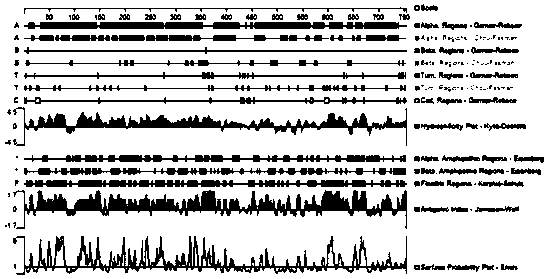 Preparation method of polyclonal antibody for specific recognition of dynein regulatory complex protein 1(DRC1) and application of preparation method