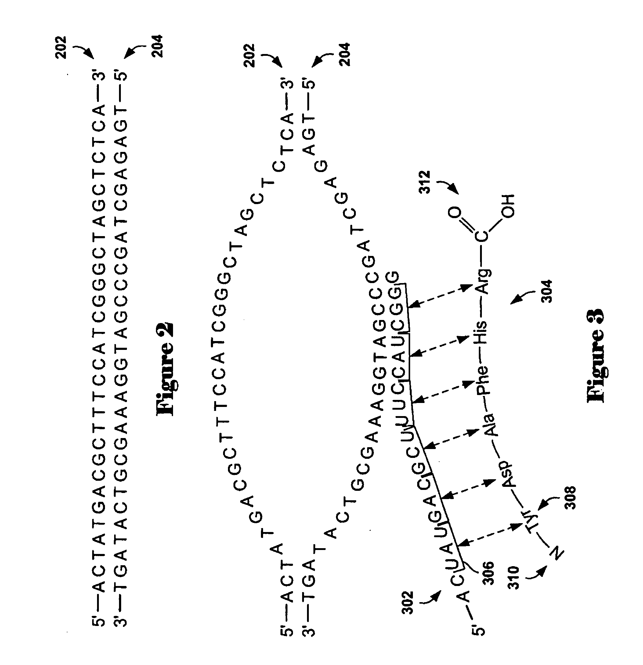 Method and system for determining a zero point for array-based comparative genomic hybridization data