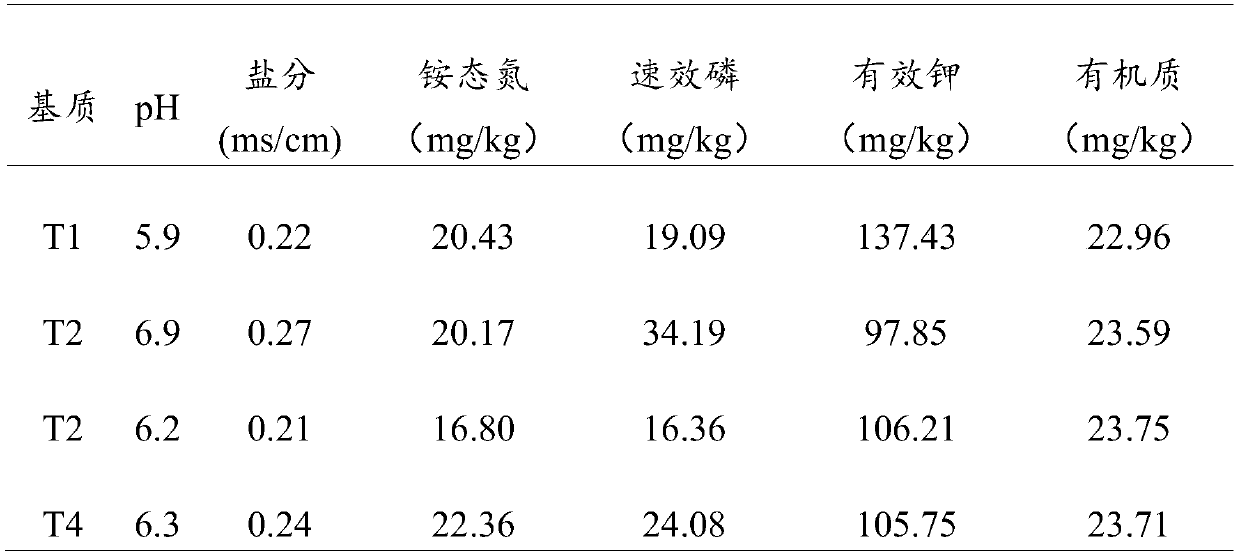 Substrate for raising seedlings from seeds of Rhizoma Areactylodis Lanceae and preparation method and application of substrate