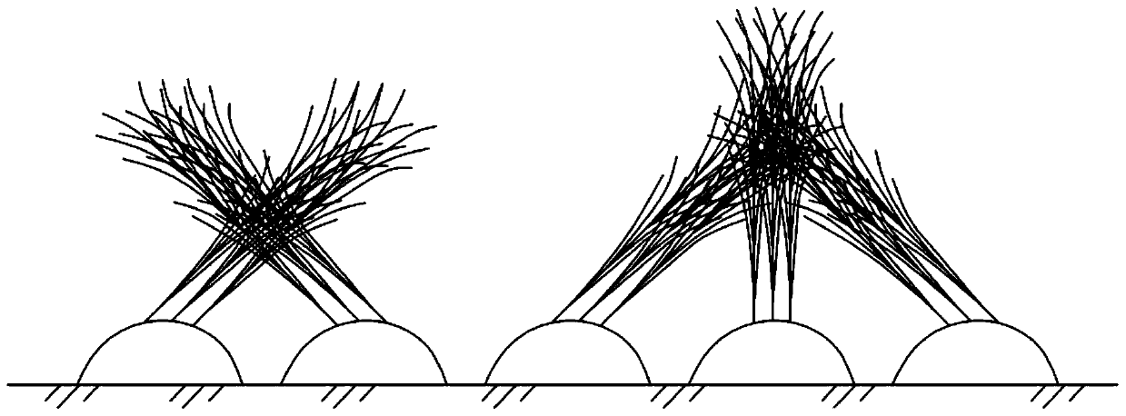 Planting Method of Sugarcane with Opposite Tilt and Lodging Resistance