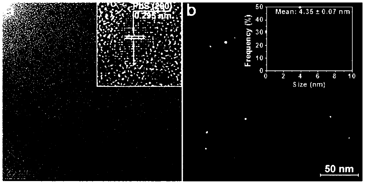Water-soluble near-infrared two-region fluorescent tracing developer for joint bacterial infection