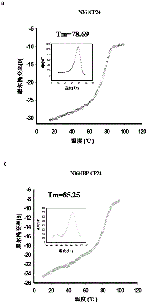 Long-acting HIV fusion inhibitor and application thereof