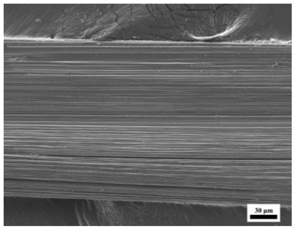 Precious metal nanoparticle composite SERS fiber and preparation method and application thereof