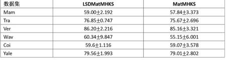 A Matrix Classification Model Based on Local Sensitive Discrimination