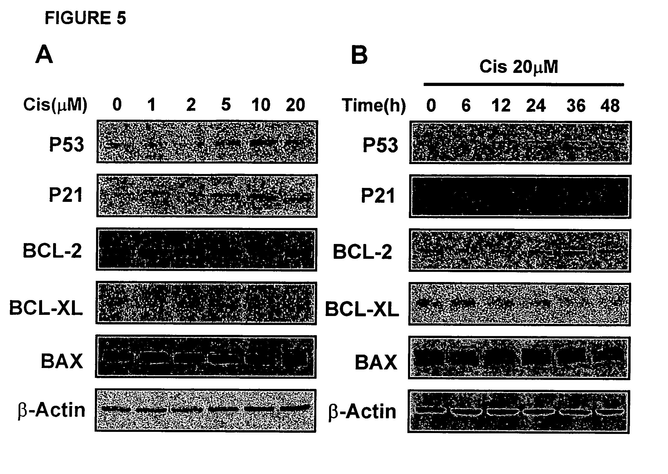 Methods and compositions for reducing toxicity of a pharmaceutical compound