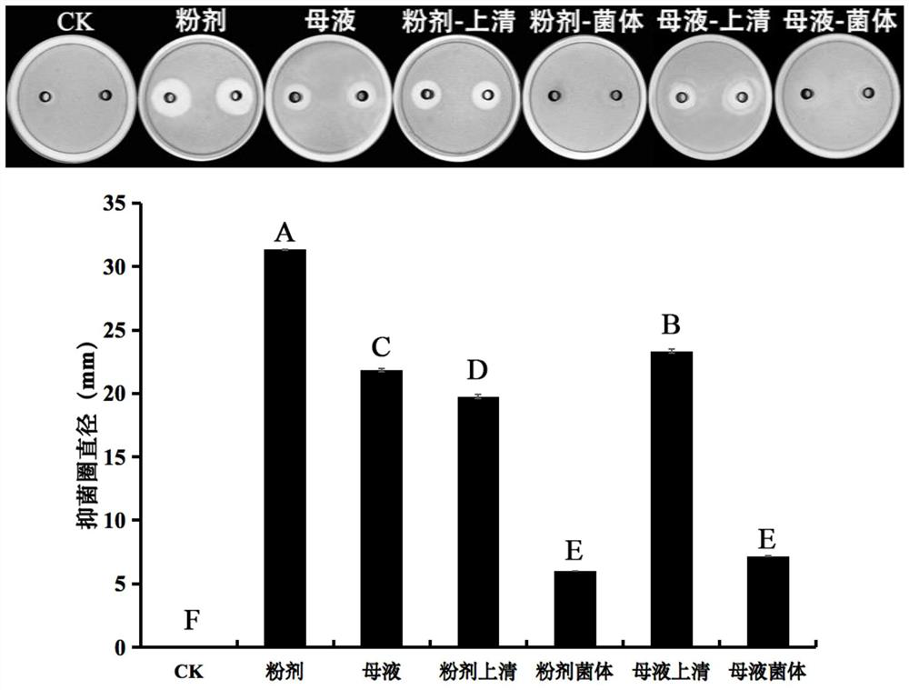 A Strain of Bacillus Velez and Its Application in Biocontrol