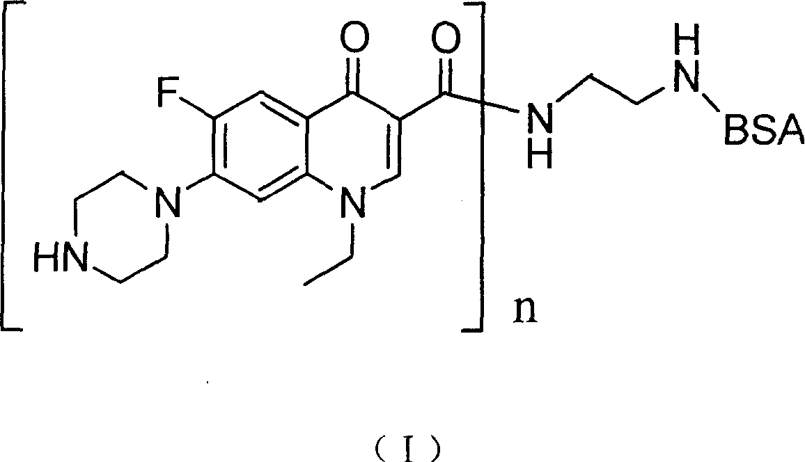 Coupling compound of Norfloxacin, preparation process and application thereof
