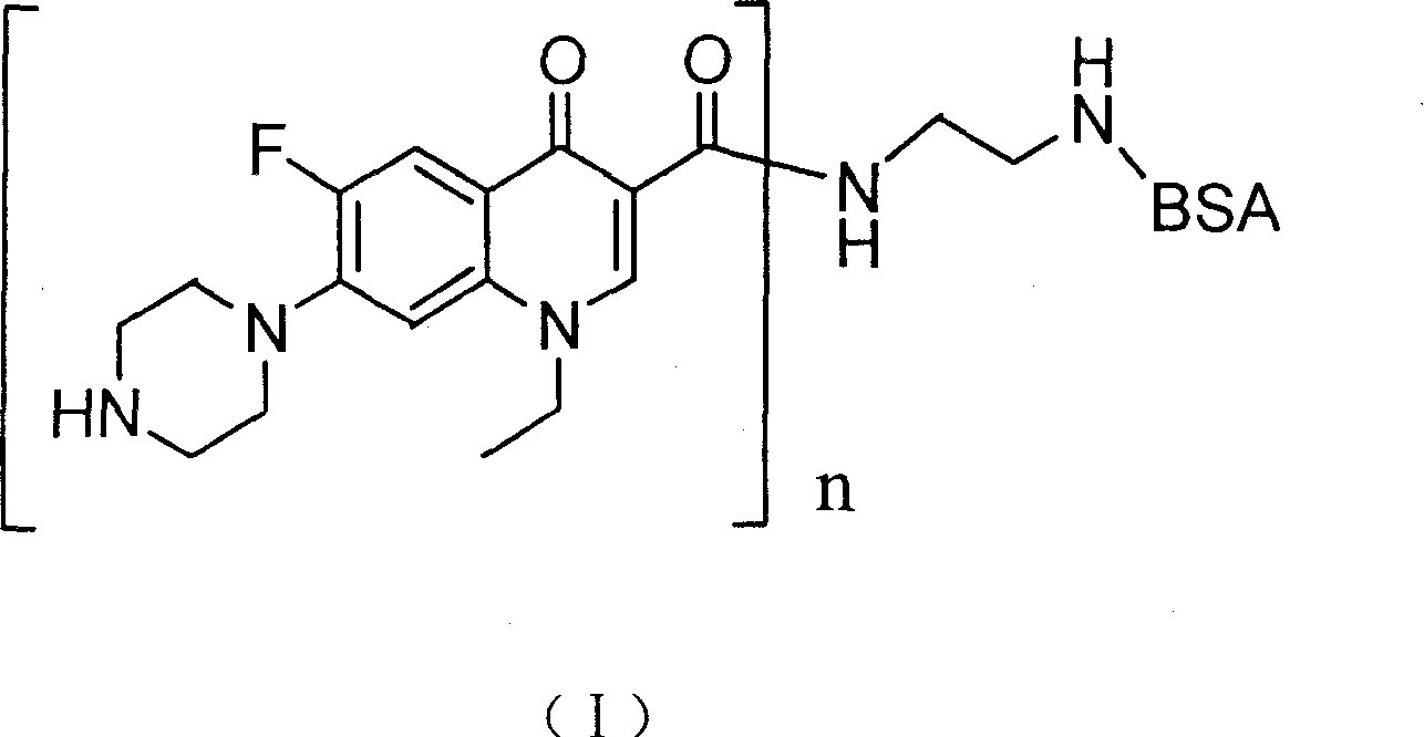 Coupling compound of Norfloxacin, preparation process and application thereof