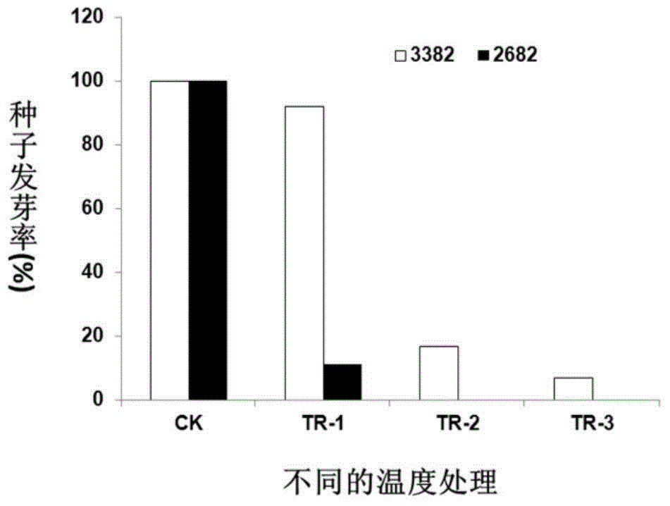 High-temperature-resistant cabbage type rape glyoxalase gene and protein as well as applications thereof