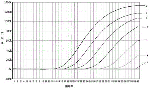 A primer, probe and kit for specific detection of type 2 ungulate boca parvovirus