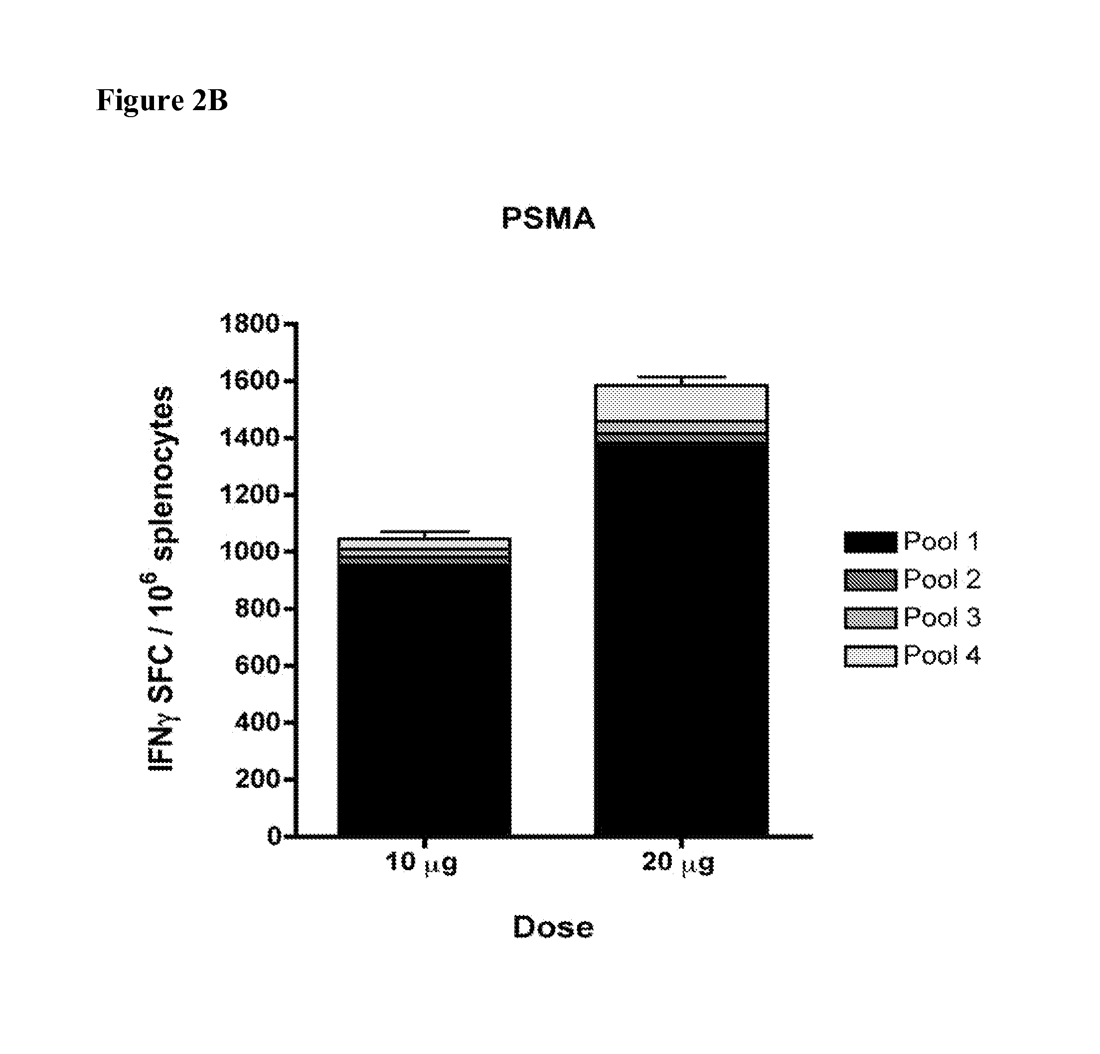 Consensus prostate antigens, nucleic acid molecule encoding the same and vaccine and uses comprising the same