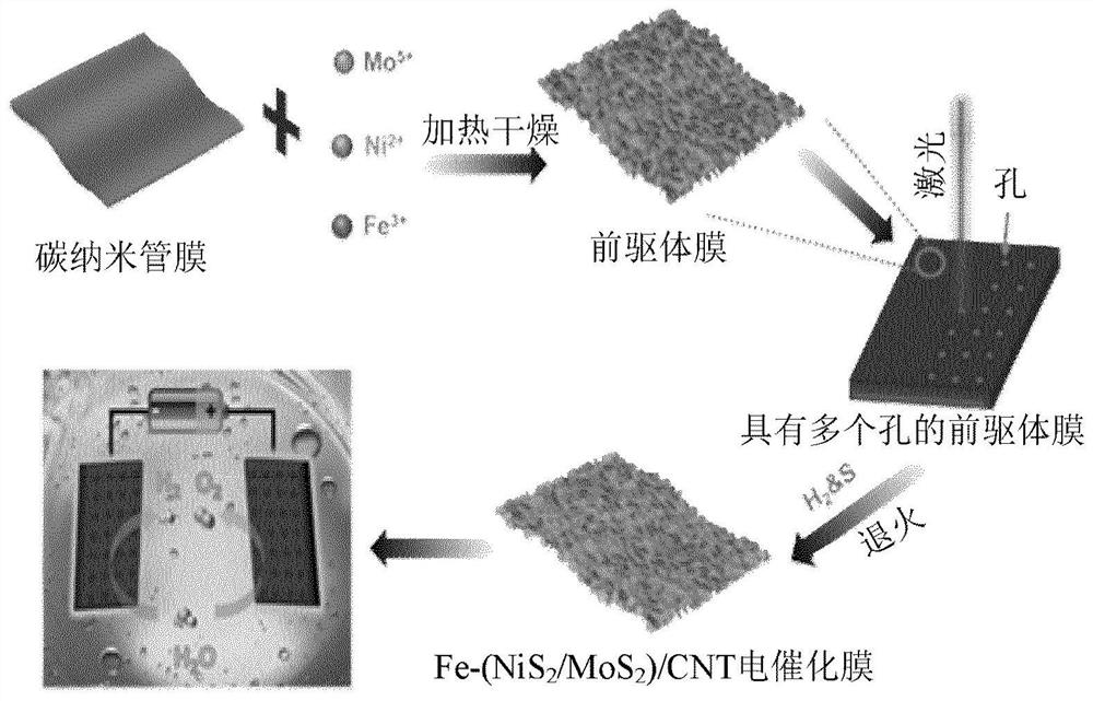 Carbon nanotube composite catalytic membrane and preparation method thereof