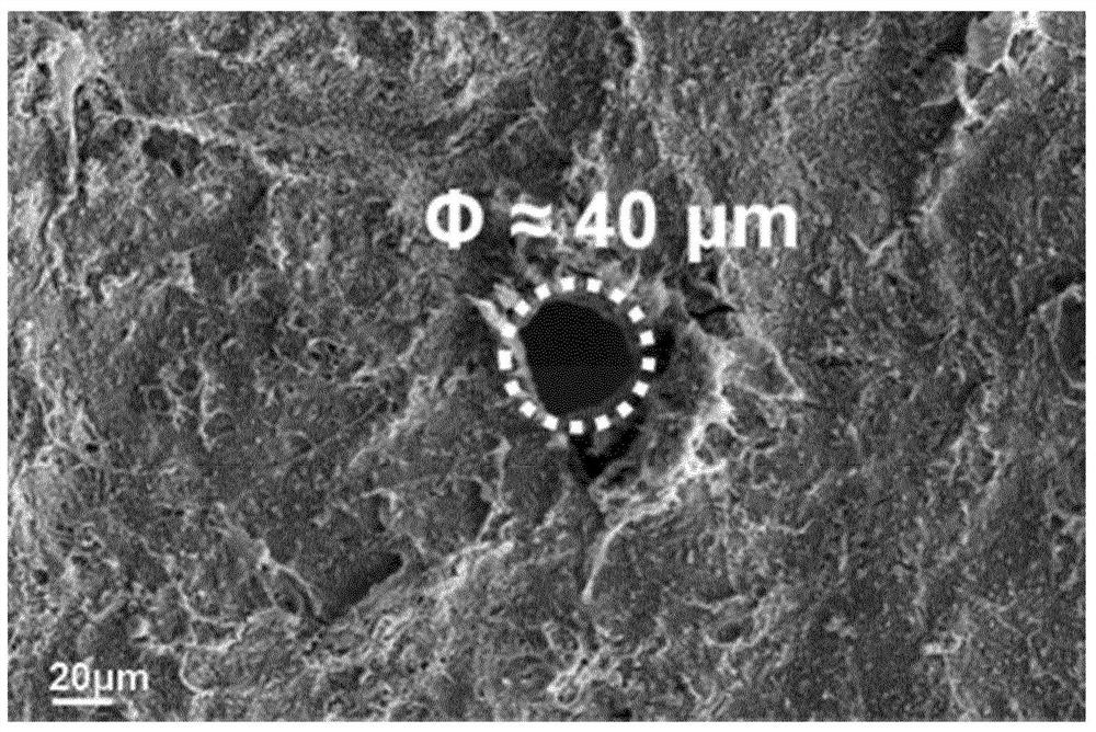 Carbon nanotube composite catalytic membrane and preparation method thereof