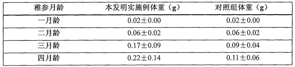 Method for culturing low-salt resistant juvenile stichopus