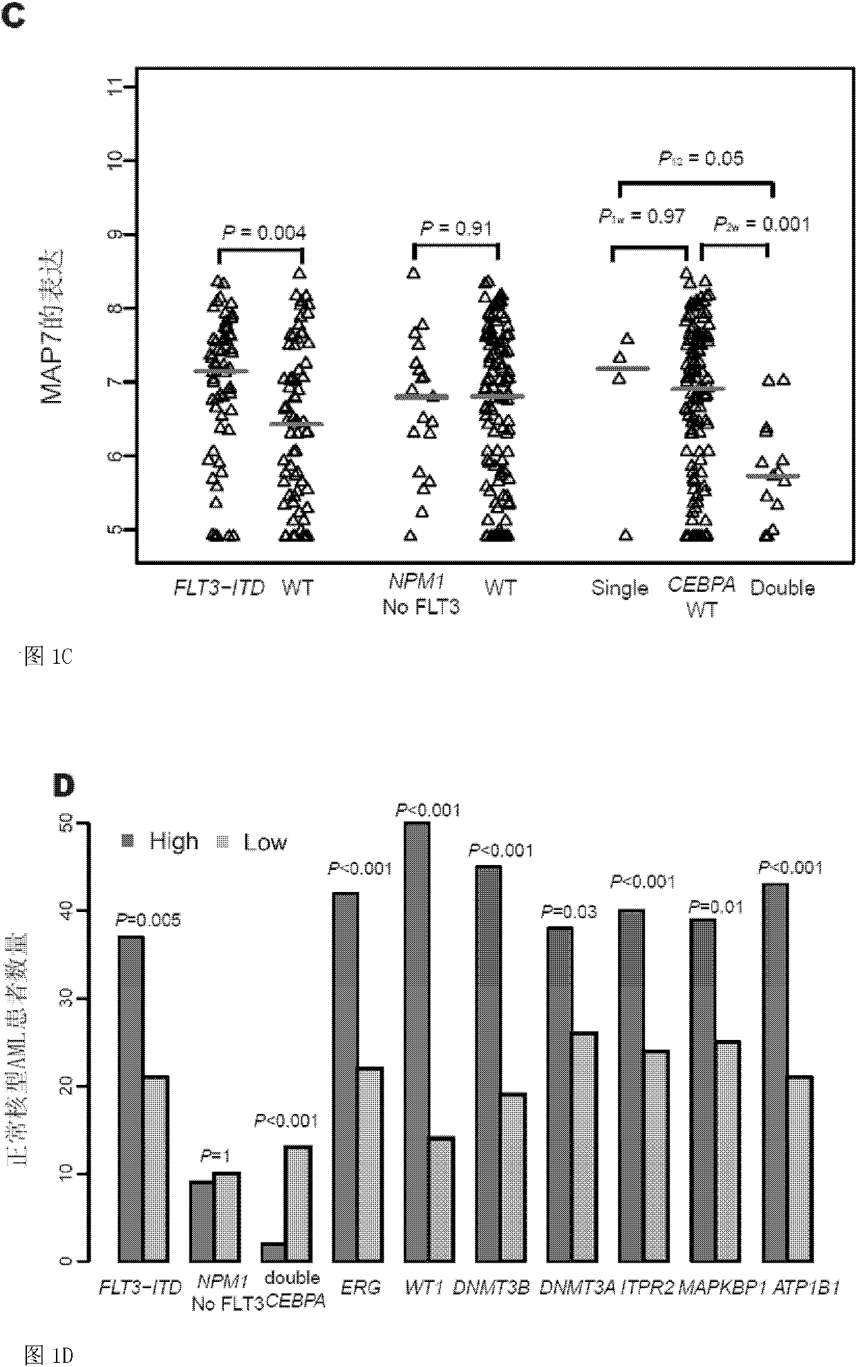 Detection method and application of map7 expression level in cn-aml tissue samples