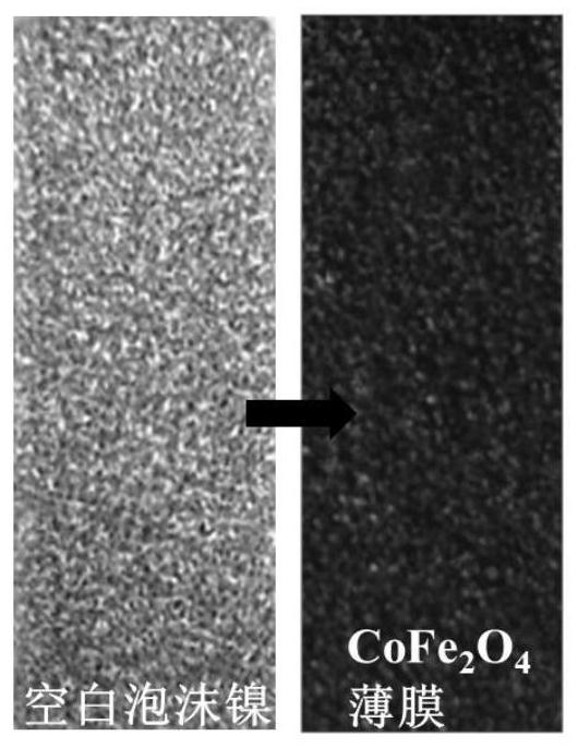 A kind of preparation method of electrocatalytic oxygen generation film electrode material and its product and application