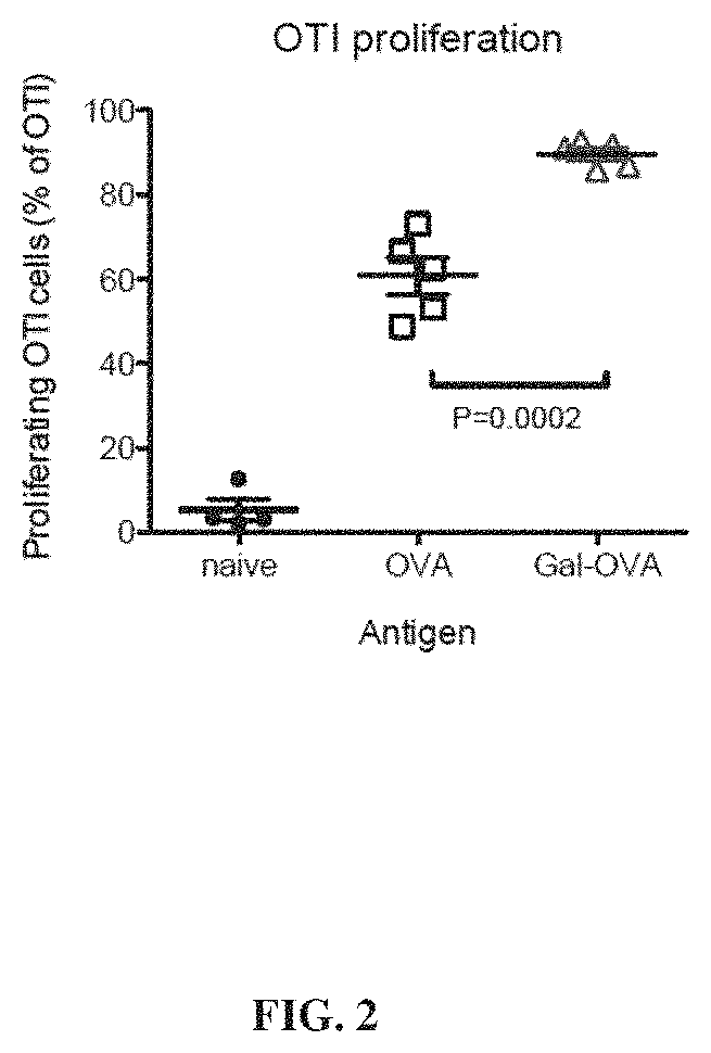 Glycotargeting therapeutics