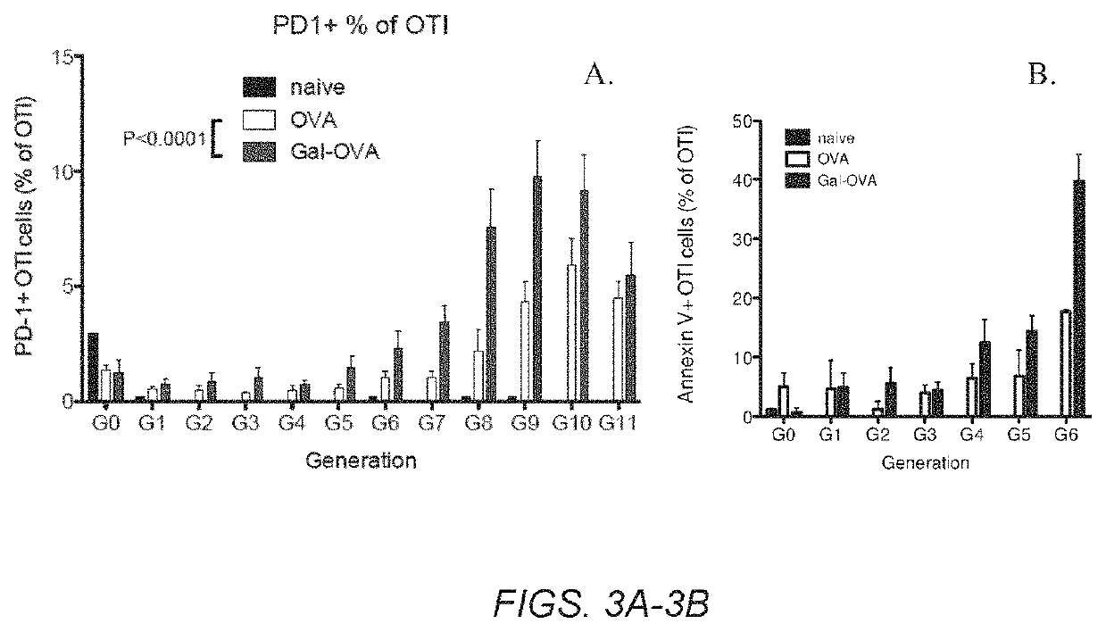 Glycotargeting therapeutics