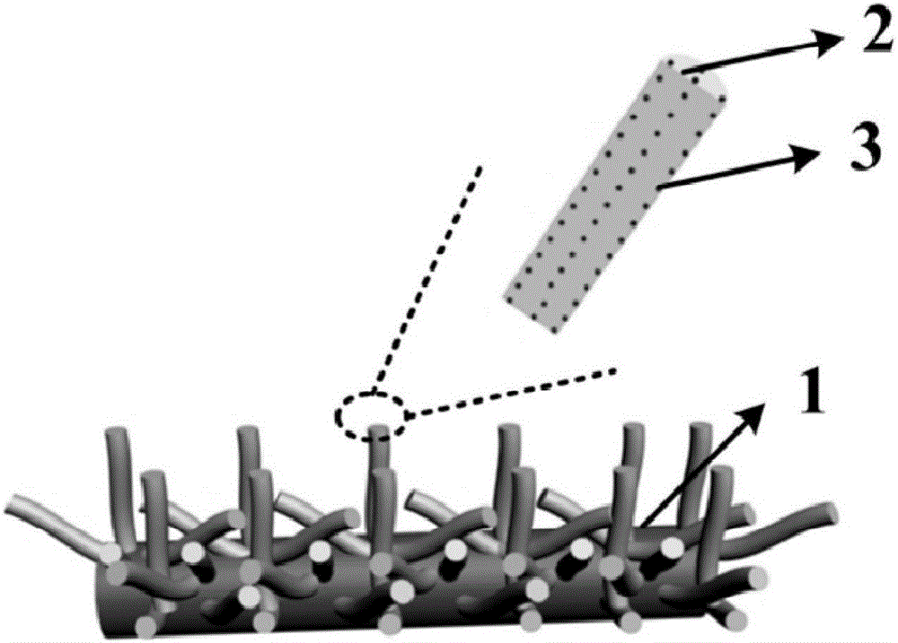 Carbon quantum dots-polyaniline/carbon fiber integrated composite material, its preparation method and application