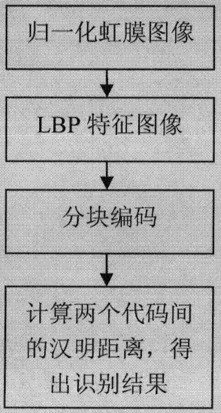 LBP (Local Binary Pattern) image and block encoding-based iris feature extracting method