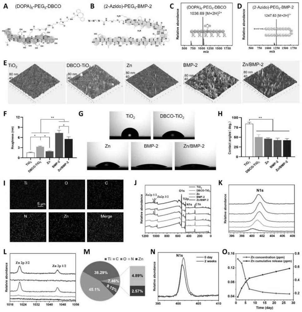 Osteoinductive and immune double-effect coating, preparation method and application in osseointegration