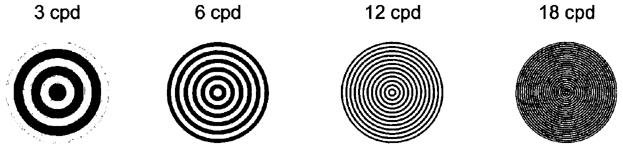 Contrast sensitivity detection method based on motion visual evoked potential