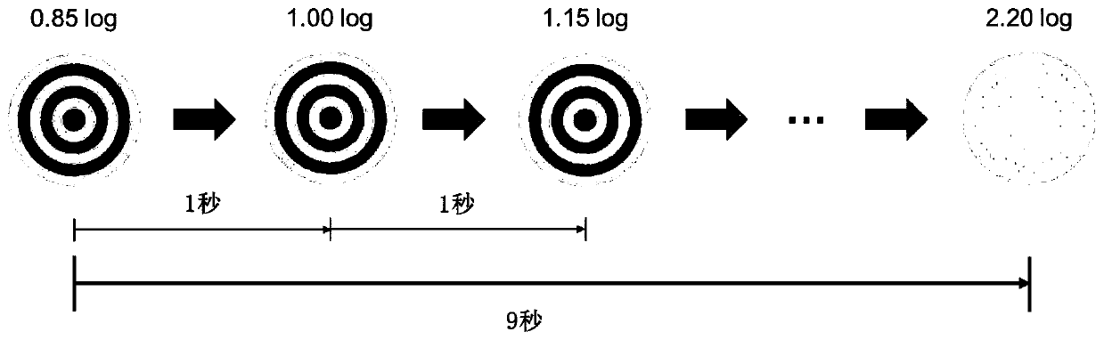 Contrast sensitivity detection method based on motion visual evoked potential