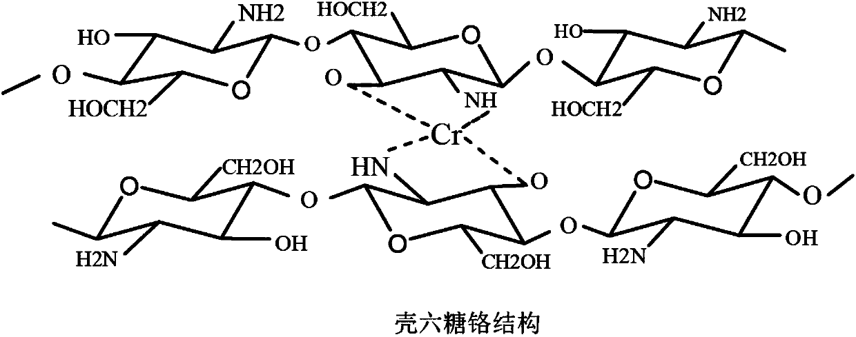 Preparation method for chitohexaose hydrochloride to octasaccharide chrome complex