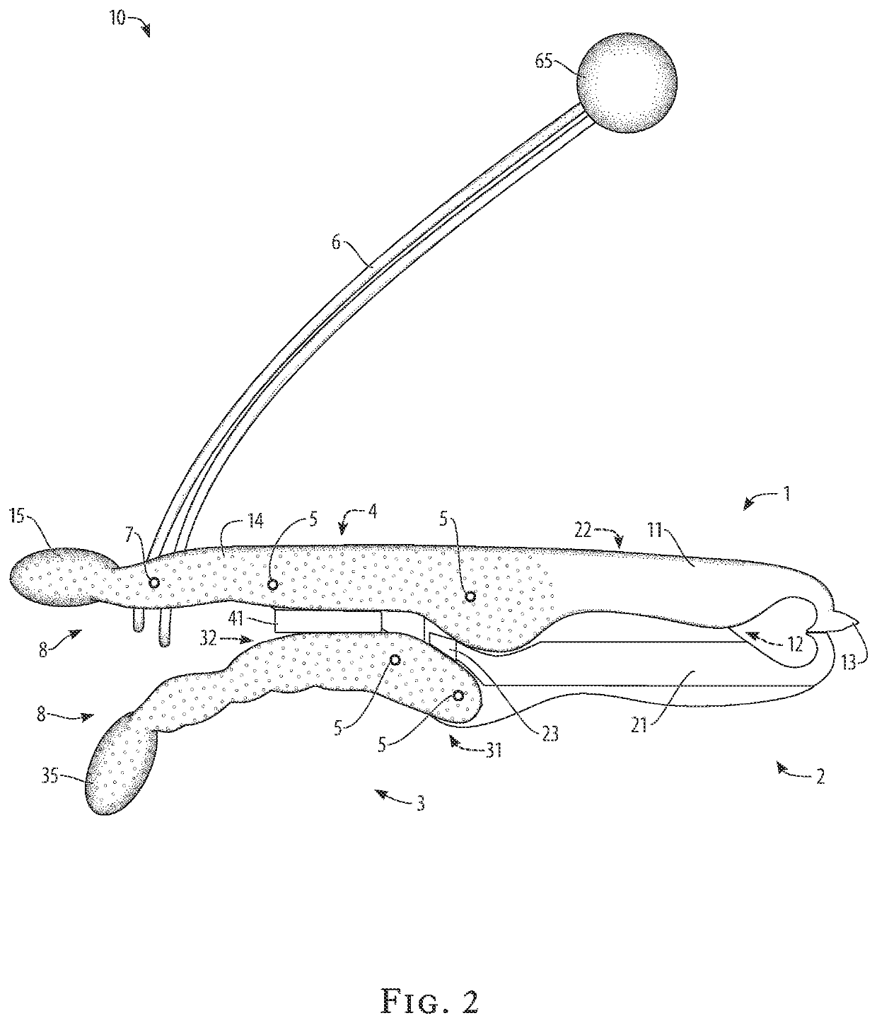 Fish holding tool