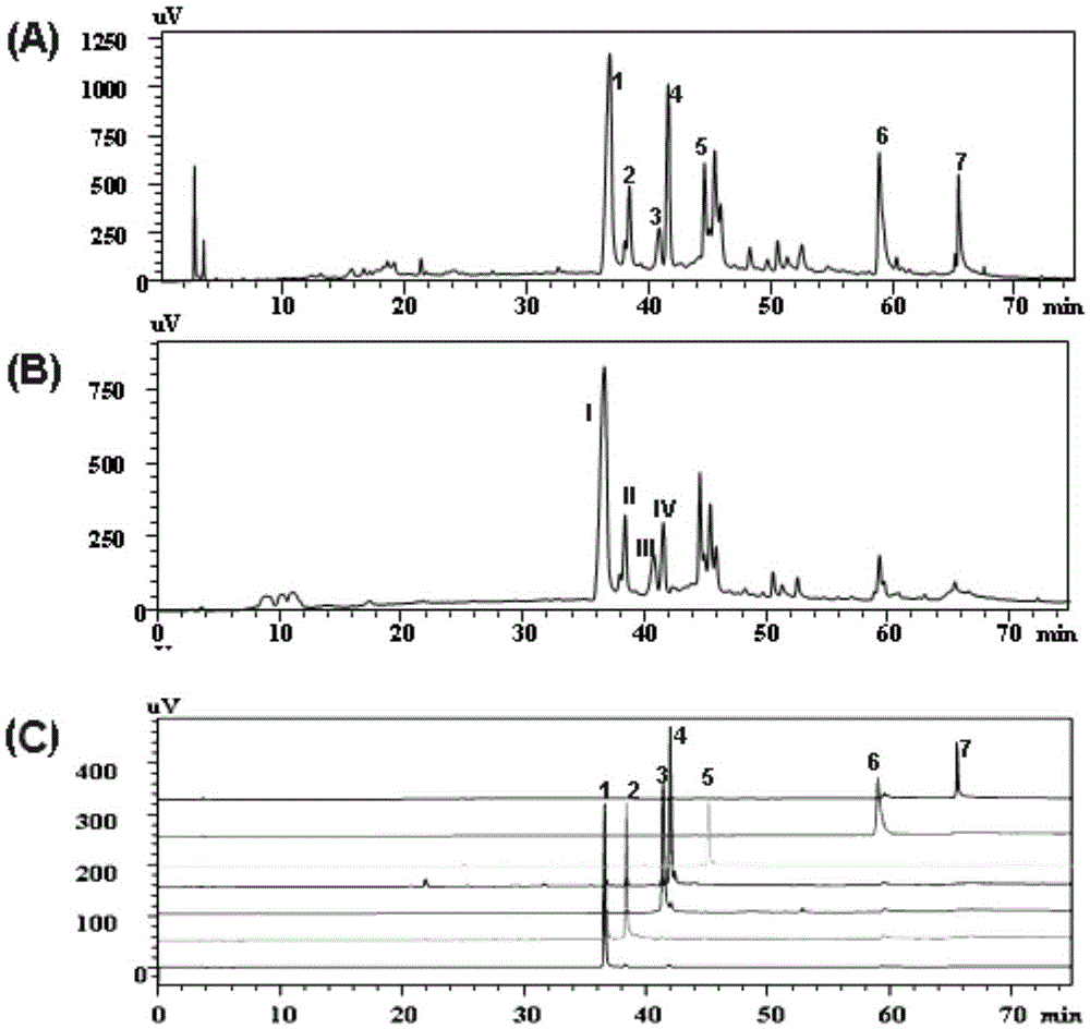 Biflavone compound and application thereof to preparation of medicine for treating cancer