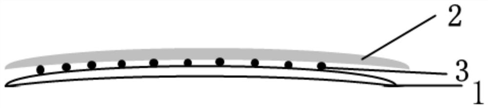 A kind of artificial amniotic bone synovium and preparation method thereof