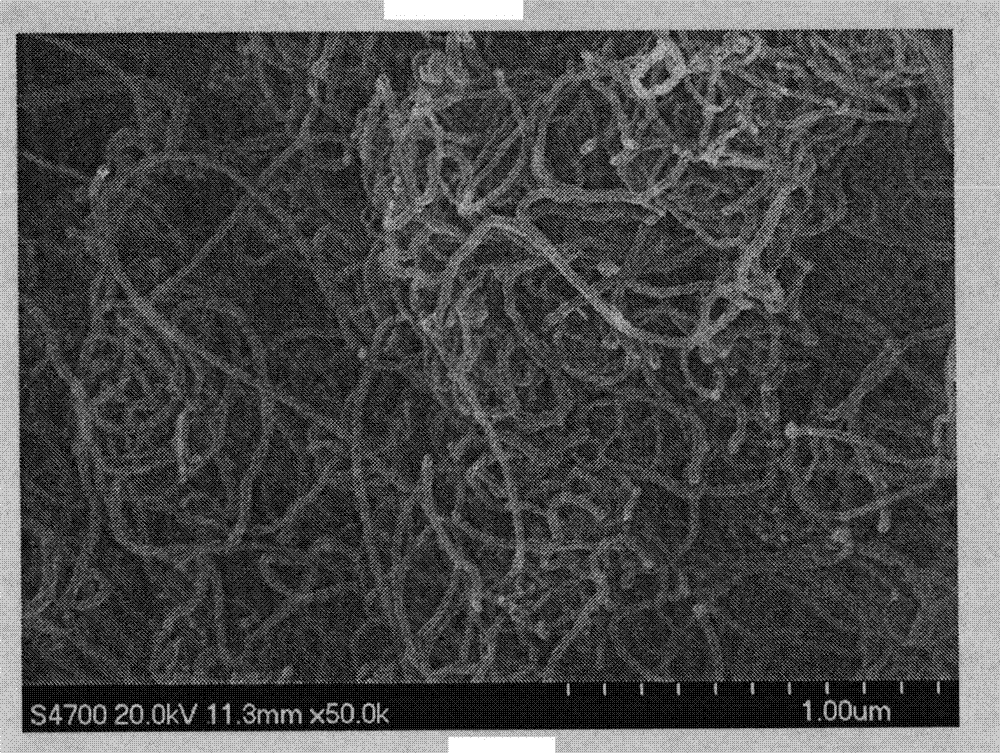 Single metal/multi-wall carbon nano tube type composite material, preparation method and application thereof