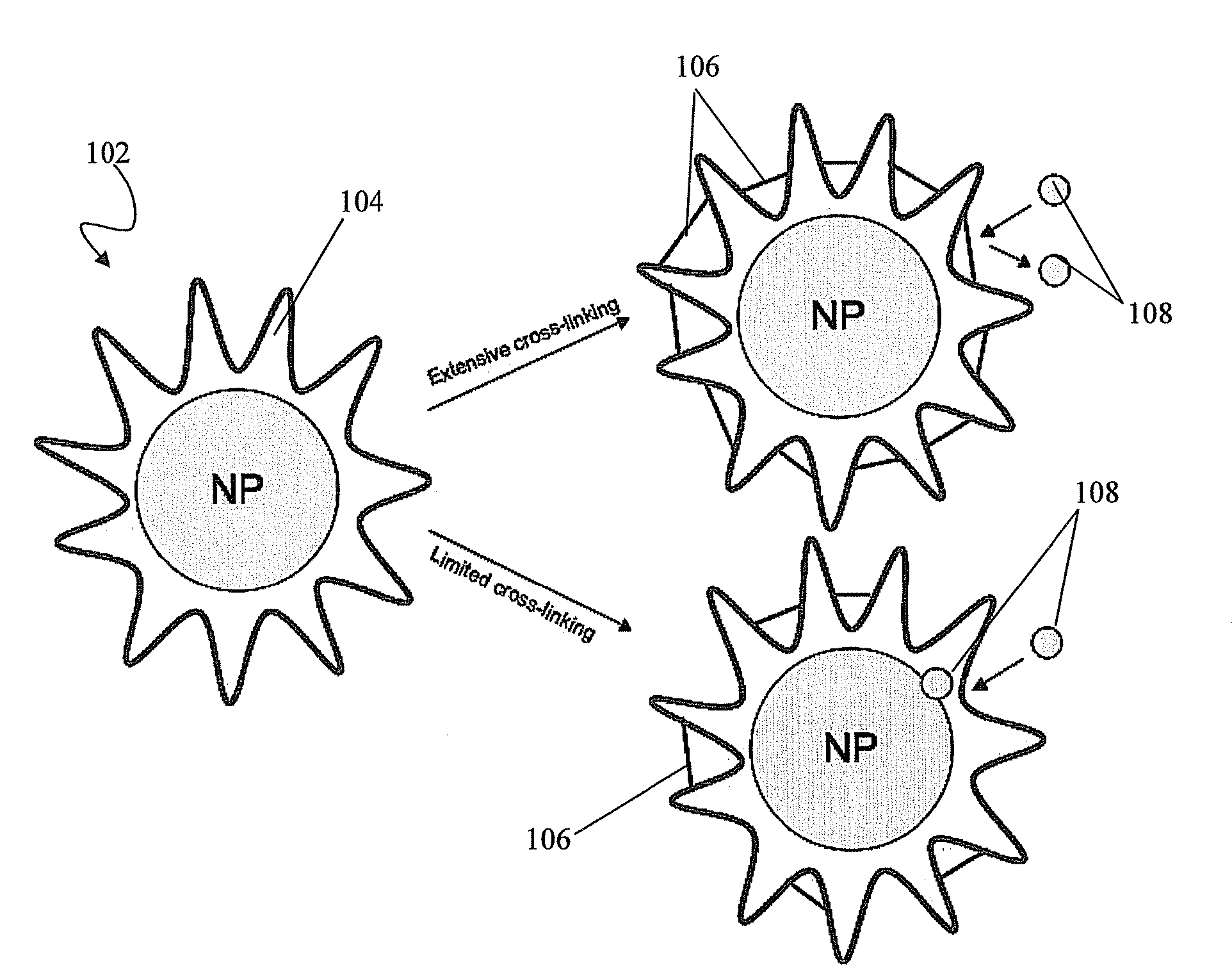 Nanoparticles confined in polyelectrolytes