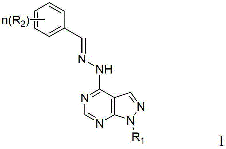 Pyrazolo pyrimidine compound and application thereof