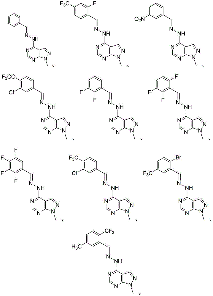 Pyrazolo pyrimidine compound and application thereof