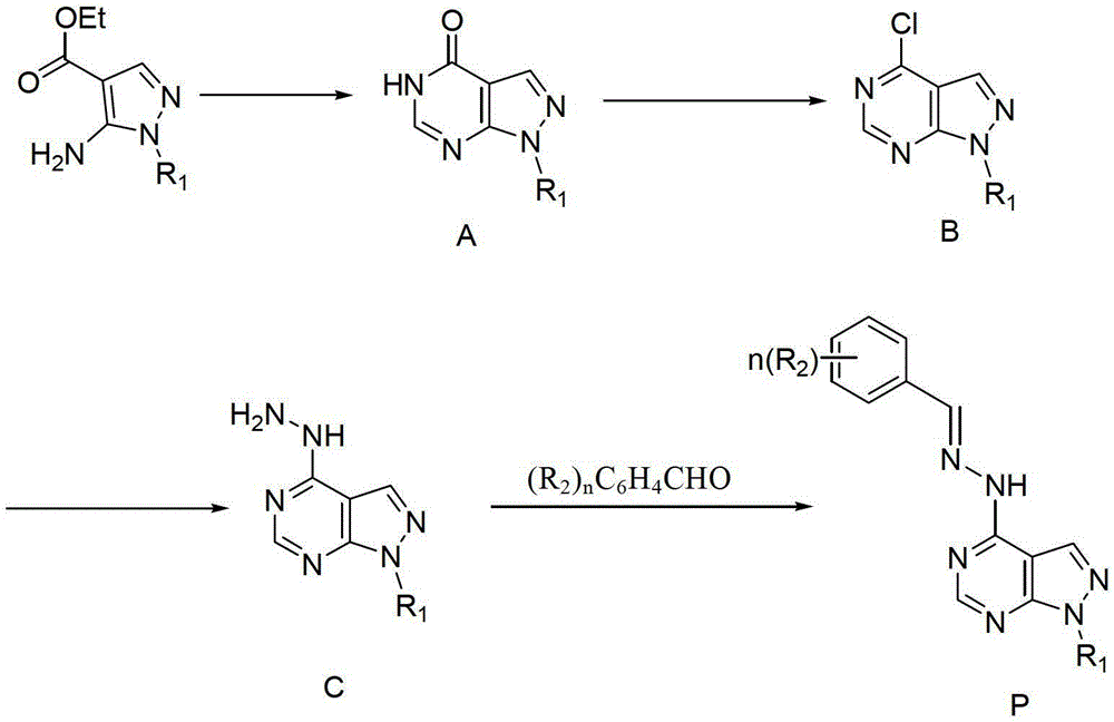 Pyrazolo pyrimidine compound and application thereof