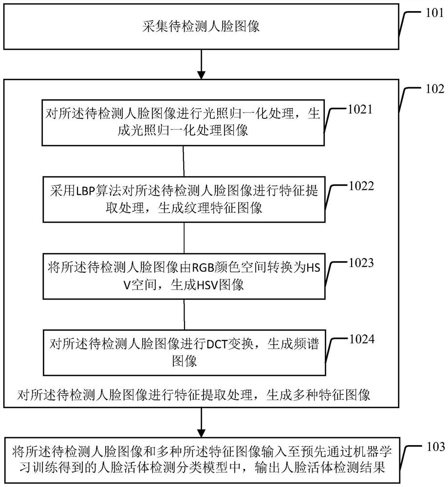 Human face living body detection method and device