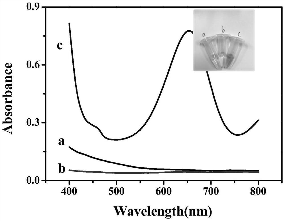 A Colorimetric Sensing Method Based on Terephthalaldehyde Acetal 2-Amino-4-Methylphenol Schiff Base for the Detection of Dopamine